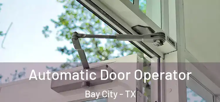 Automatic Door Operator Bay City - TX