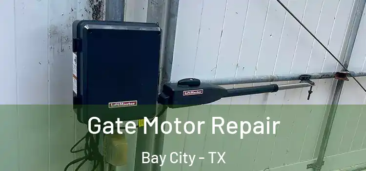 Gate Motor Repair Bay City - TX